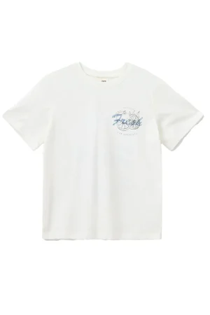 Zenasy T-Shirt Fresh